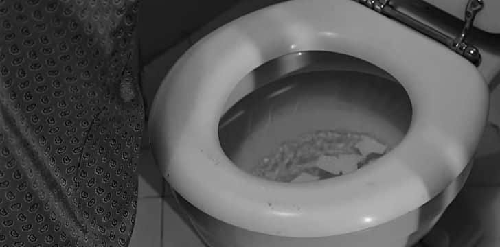 Psycho (1960) was the first film to ever show a toilet flushing.