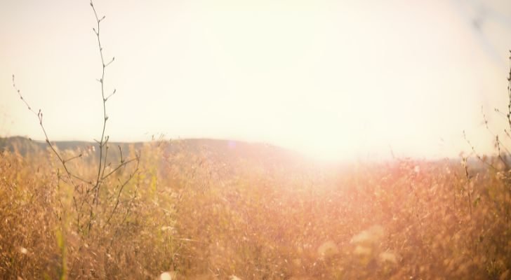 Six months of daylight