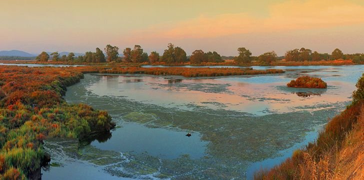 The Algarve's Ria Formosa National Park