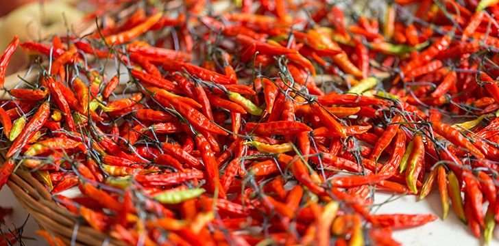 Piri Piri Chilis