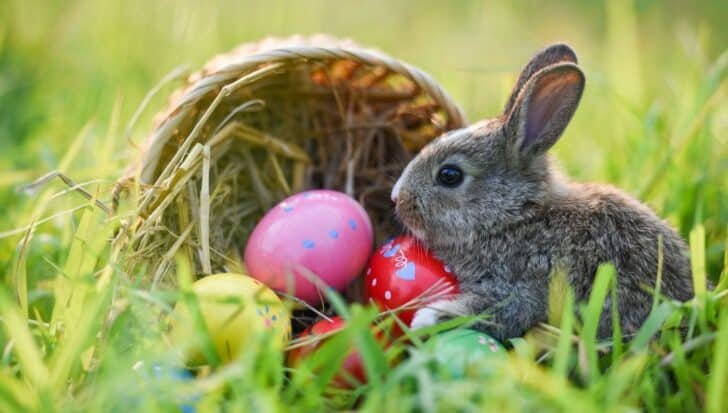 A small rabbit next to colorful Easter eggs scattered in the grass with a wicker basket