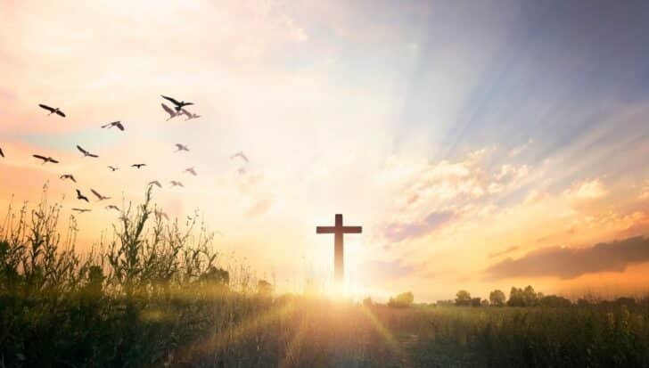 Sunset over a field with a cross and flying birds in the sky