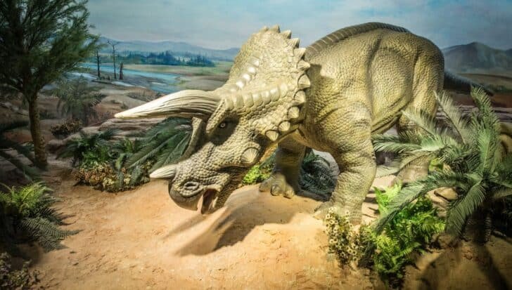 A Triceratops in a prehistoric landscape, with its frilled neck and large horns, surrounded by plants and a distant background of trees and hills