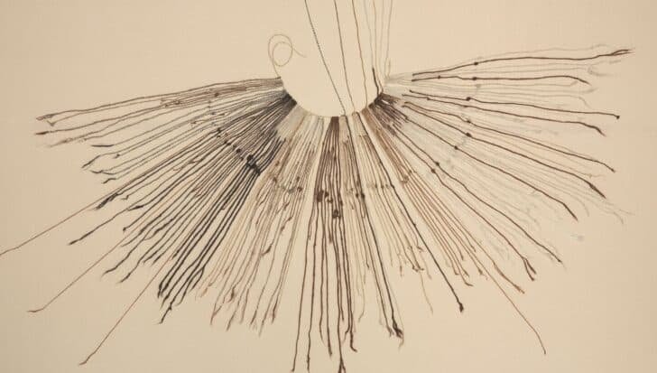 Knotted cords used by ancient Andeans for record keeping, known as quipu, with cords extending outward in various lengths