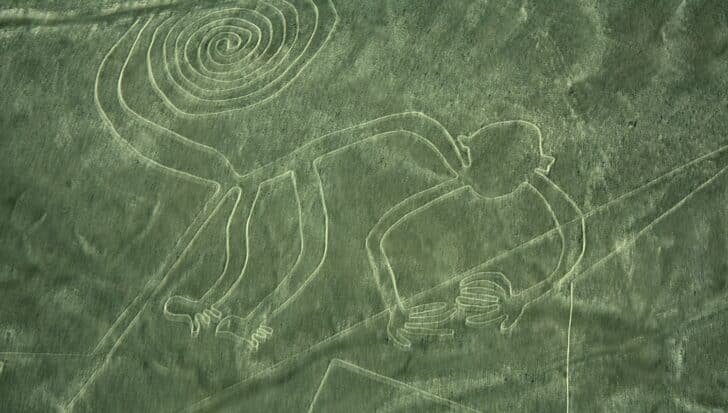 Aerial view of a Nazca Line geoglyph depicting a monkey with a spiral tail in the Peruvian desert