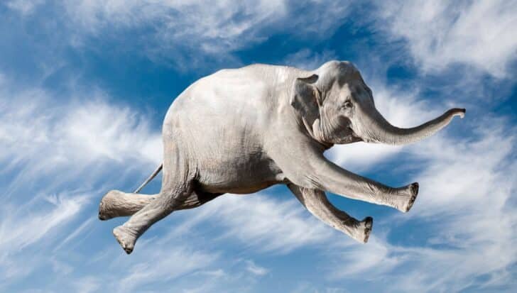 Elephant flying through a blue sky, symbolizing World Elephant Day