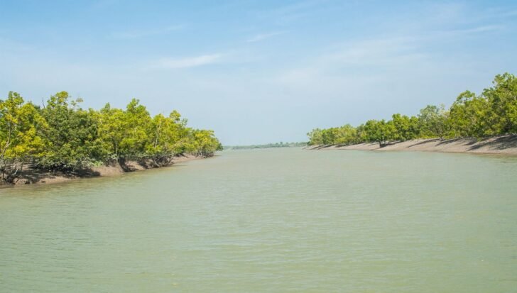 A scenic river in Sundarbans forest lined with trees on both banks