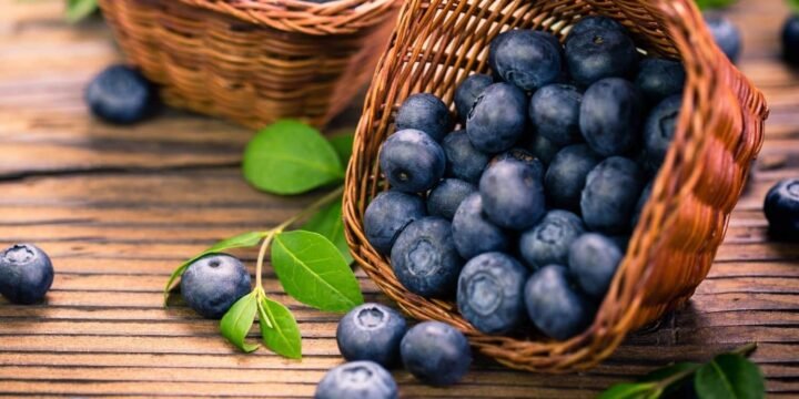 10 Brilliant Facts About Blueberries You Should Know