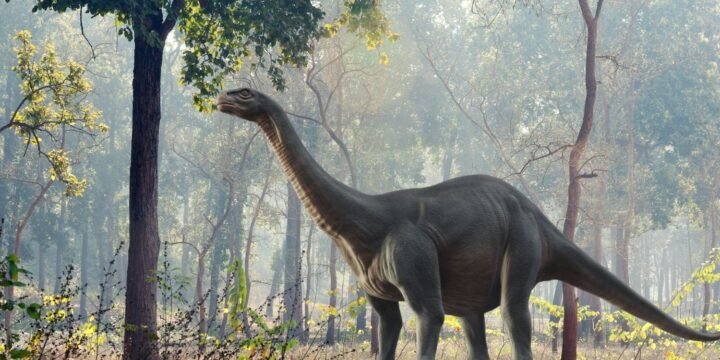 9 Beefy Facts About The Brontosaurus
