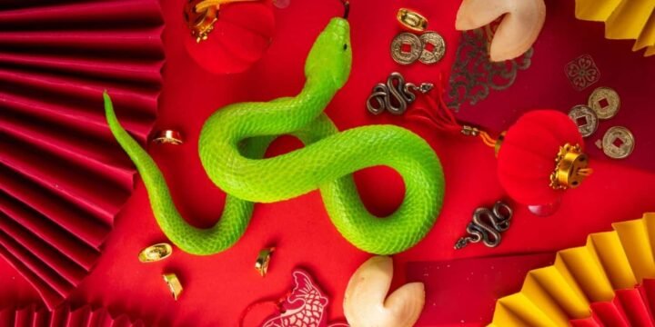 Year of the Snake: Fun Facts About the Chinese Snake Zodiac