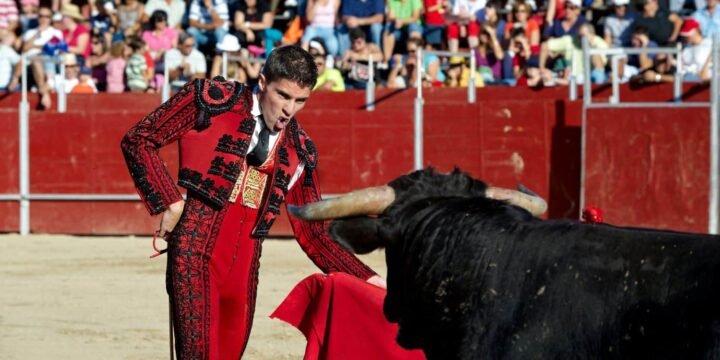 Do Bulls Really Get Angry At The Color Red?