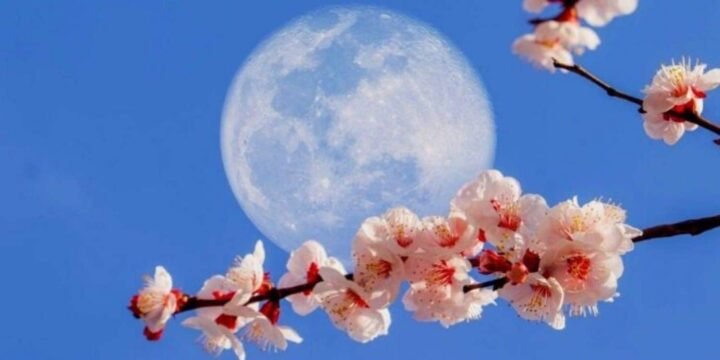 What Is A Flower Moon?