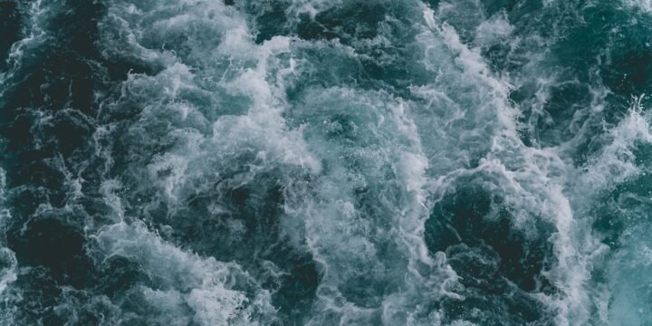 5 Wonderful Facts About the World’s Oceans