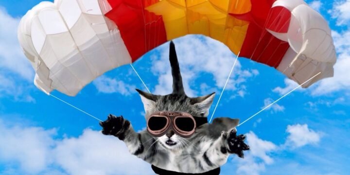 How The RAF Fought Malaria With Parachuting Cats