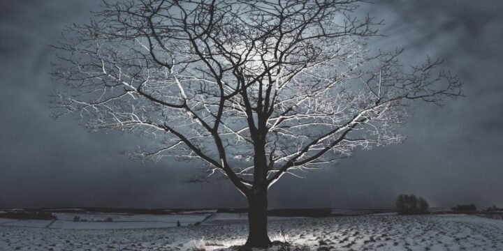 What Is A Snow Moon?