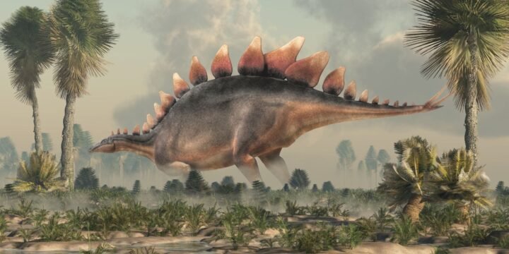 10 Shocking Facts About The Stegosaurus