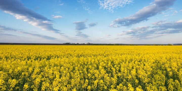 37 Interesting Facts About Ukraine