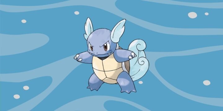 15 Wild Facts About Wartortle | Pokémon