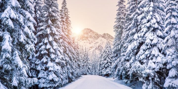 15 Frosty Facts About Winter to Keep Out the Cold