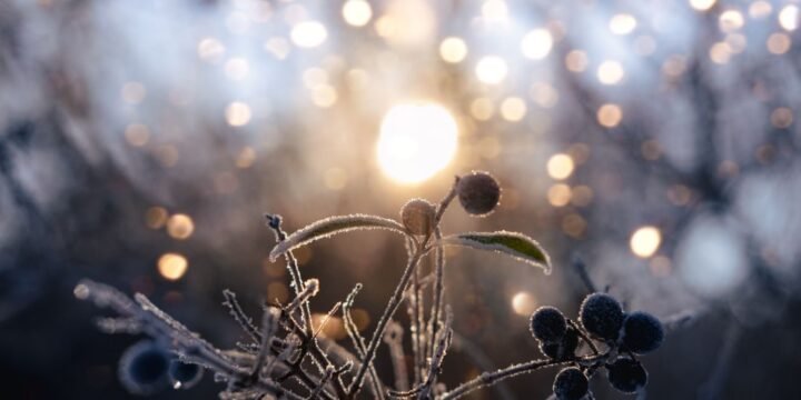 21 Cool Facts About The Winter Solstice